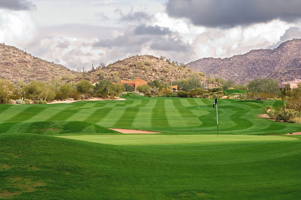Aquarius-4_Perennial-Ryegrass_Turf-Merchants aquarius-4_perennial-ryegrass_turf-merchants