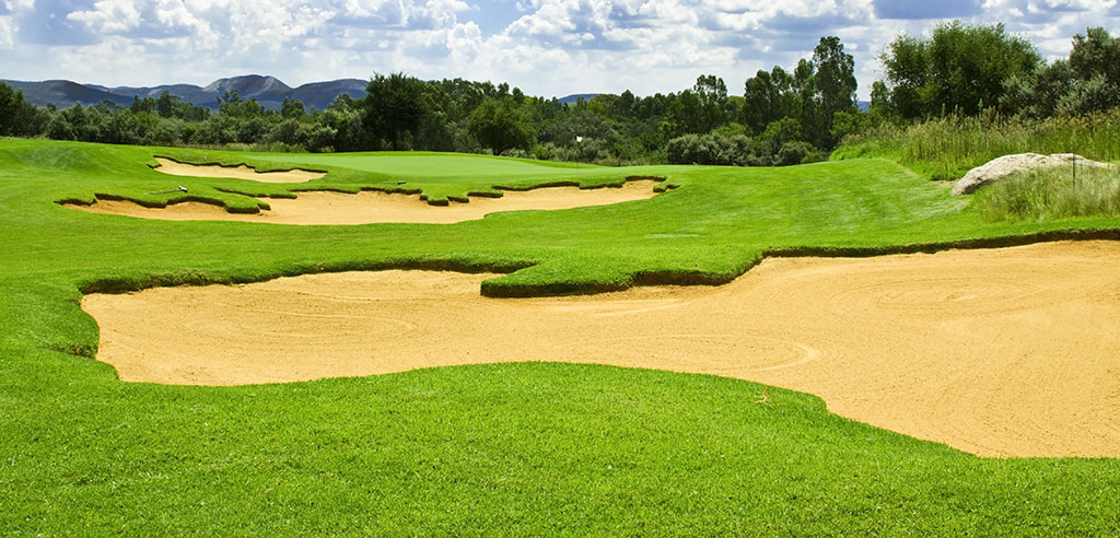 heathland_chewings-fescue_turf-merchants