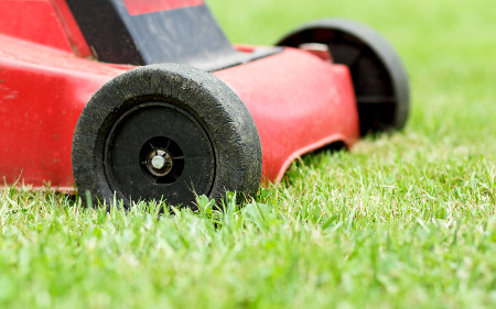 lawn-maintenance_1_turf-merchants