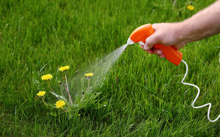 weed-control-spraying_turf-merchants