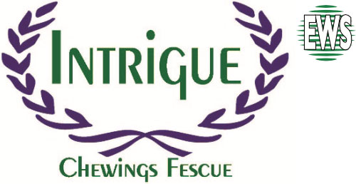 intrigue-ews-logo