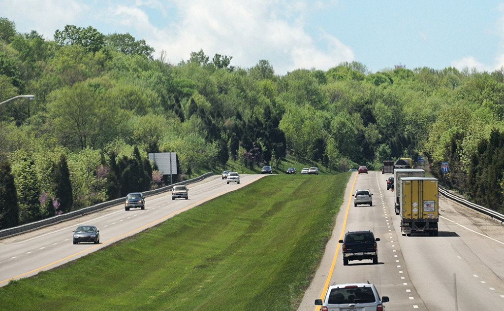 Salt Tolerant Grass For Transportation