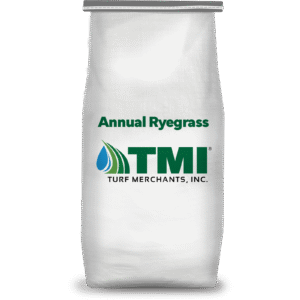 Annual Ryegrass