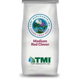 Medium Red Clover
