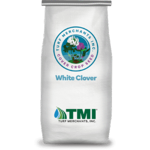 White Clover