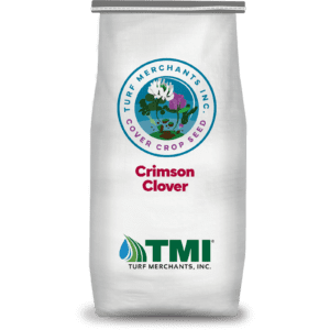 Crimson Clover