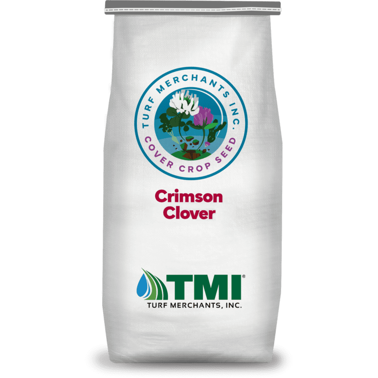 Crimson Clover