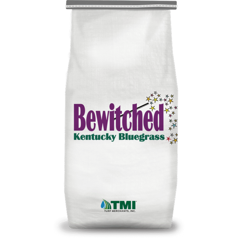Bewitched Sod