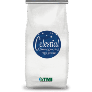 Celestial Creeping Red Fescue