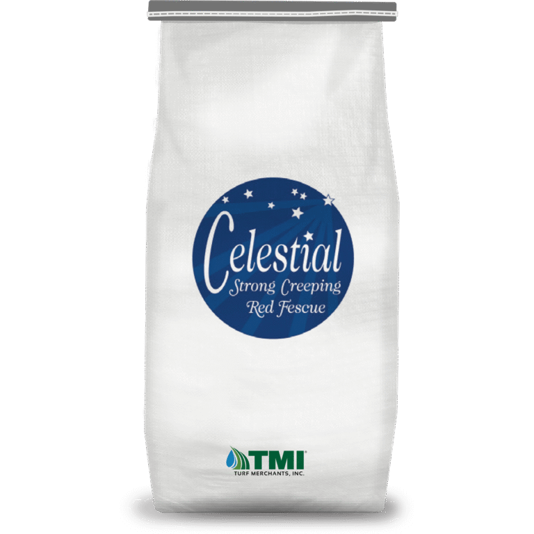Celestial Creeping Red Fescue