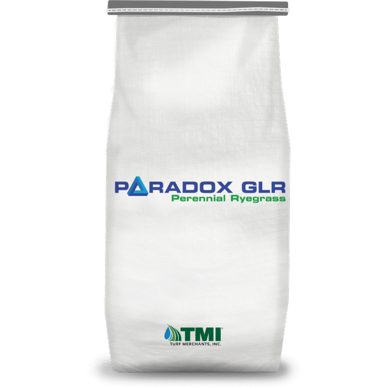 Paradox Glr