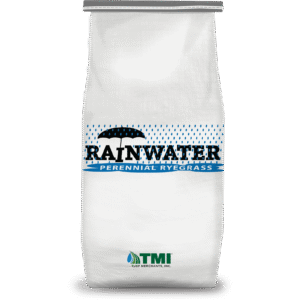 Rainwater