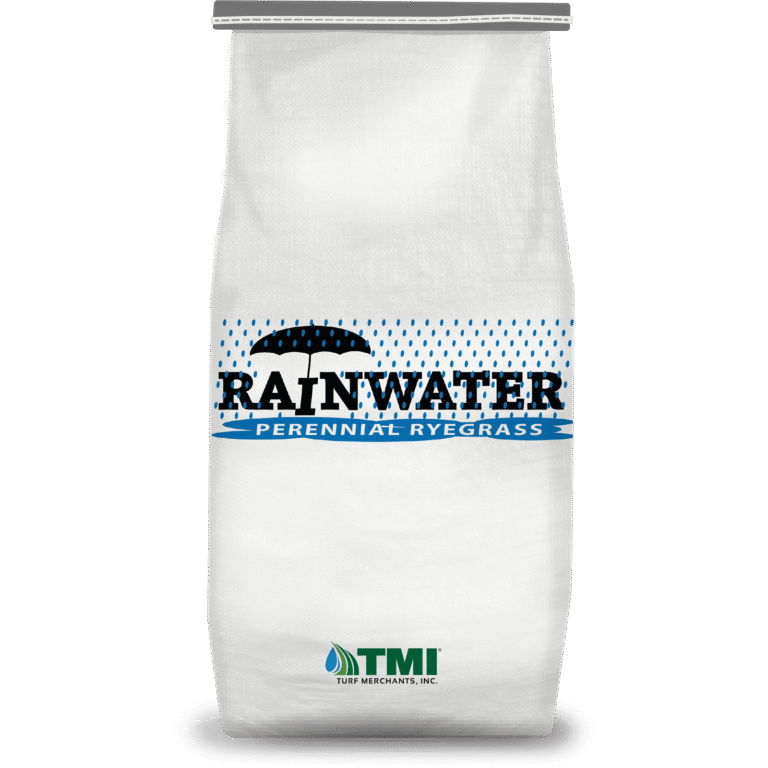 Rainwater