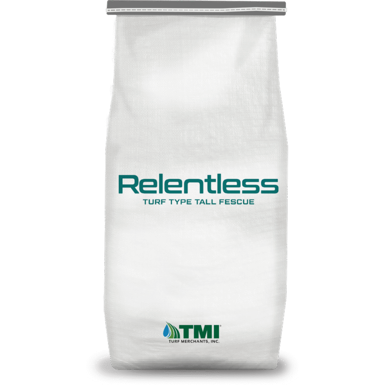 Relentless