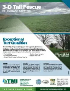 3d Sod Tall Fescue Bluegrass Mixture