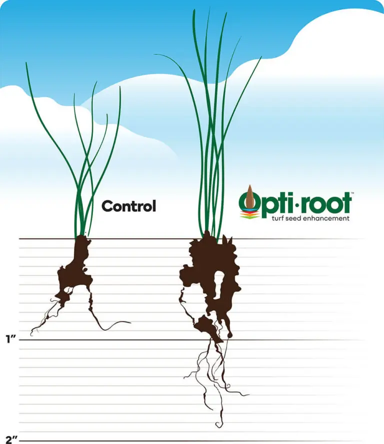 Opti Root