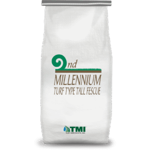 Bag Icon 2ndmillenium