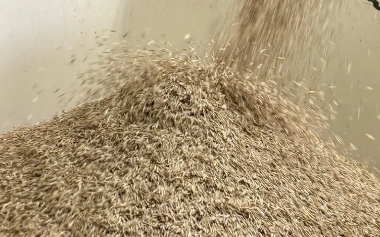 Golden Valley Farms
