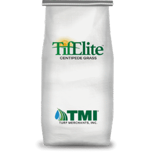 TifElite™ Centipede Grass