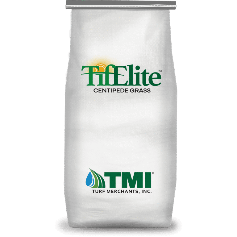 TifElite™ Centipede Grass