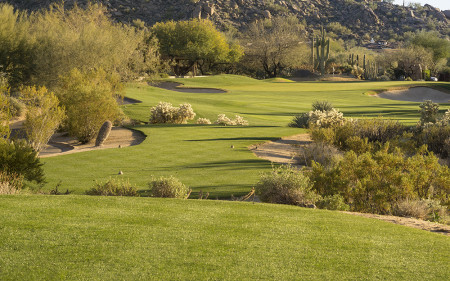 annual-ryegrass_turf-merchants