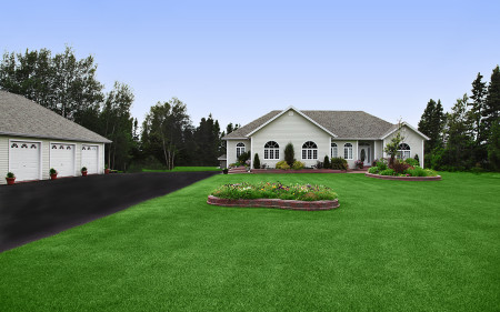 aquavita_tall-fescue_turf-merchants-2