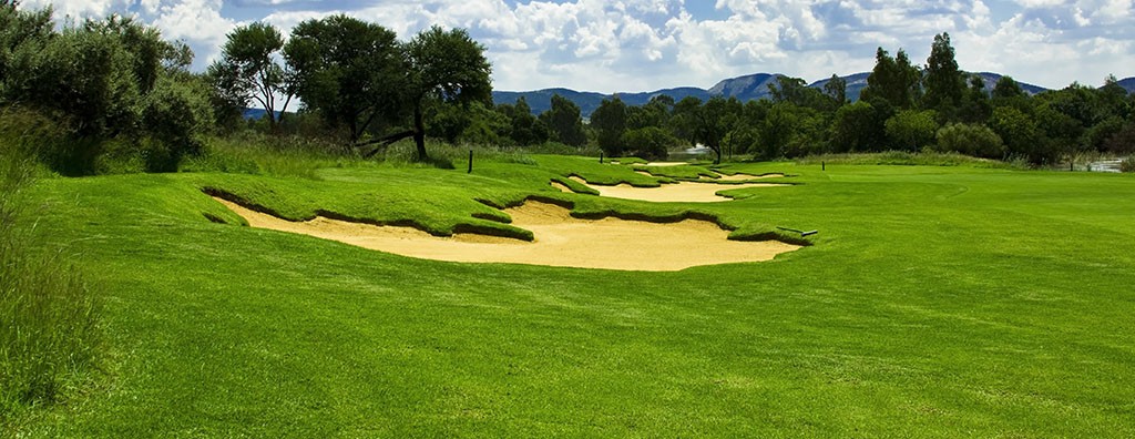 Intrigue_Chewings-Fescue_Turf-Merchants