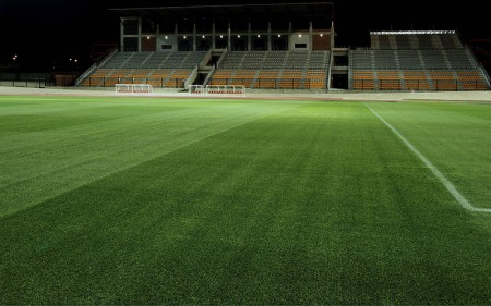 kentucky-bluegrass_turfgrass-seed_turf-merchants