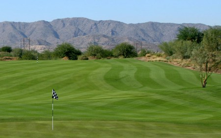 perennial-ryegrass_turfgrass-seed_turf-merchants
