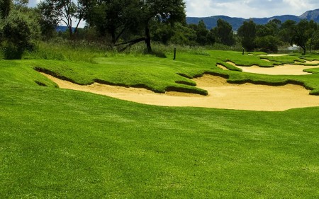 specialty-fescue_turfgrass-seed_turf-merchants