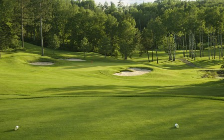 trueline_bentgrass_turf-merchants