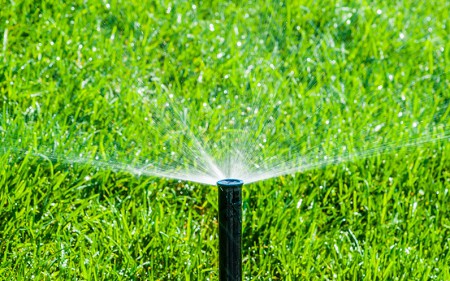 turfgrass-lawn-maintenance_turf-merchants